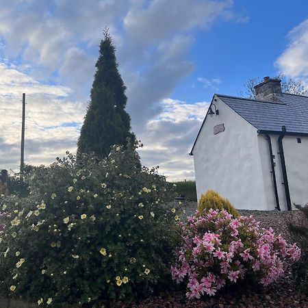 Dans Wee Cottage Slieve Croob Dromara Castlewellan Newcastle Экстерьер фото