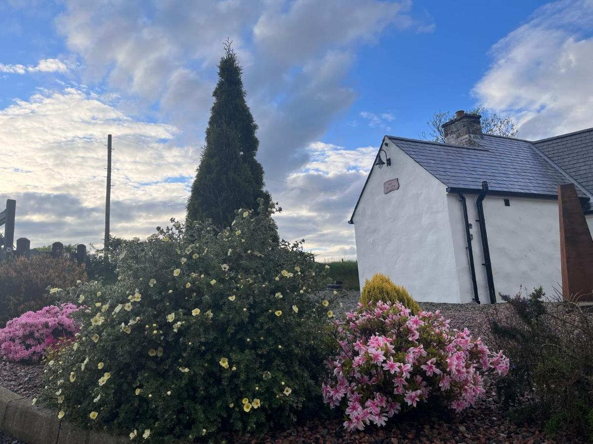 Dans Wee Cottage Slieve Croob Dromara Castlewellan Newcastle Экстерьер фото