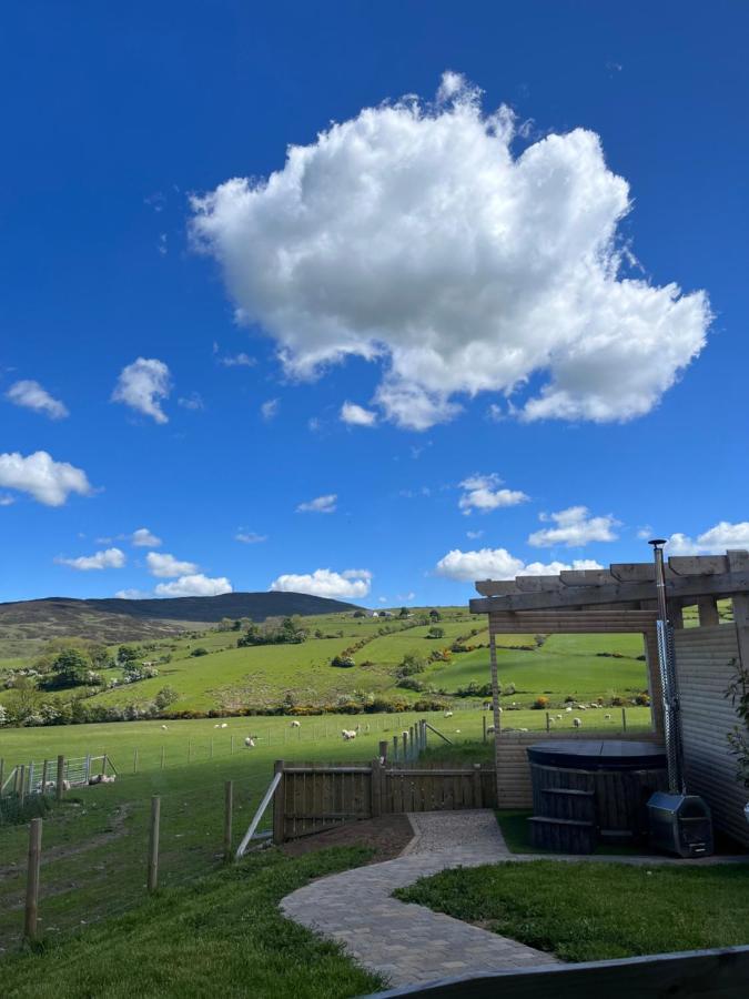 Dans Wee Cottage Slieve Croob Dromara Castlewellan Newcastle Экстерьер фото
